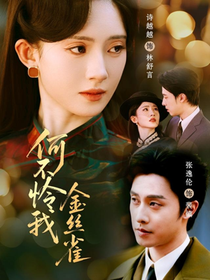 何不怜我金丝雀（60集）热门短剧抢先看