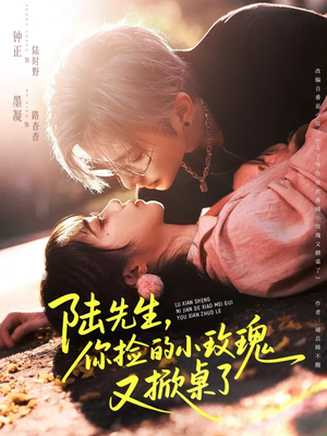 陆先生,你捡的小玫瑰又掀桌了(74集) 陆先生,你捡的小玫瑰又掀桌了(74集)在哪个app能看