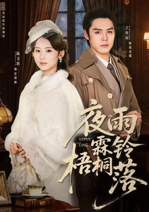 烽火错爱（51集）精彩短剧下载