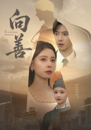 向善（51集）短剧视频分享