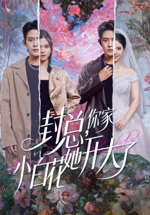 大佬你的牙粘口红了（60集）好看到停不下来