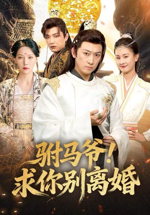 驸马爷！求你别离婚（80集）在线看