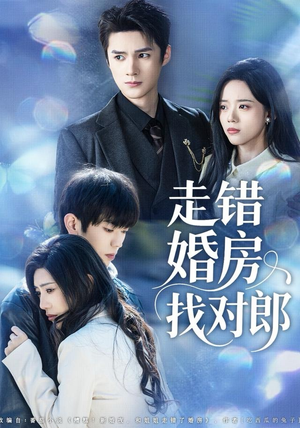 走错婚房找对郎（50集）好看上头短剧