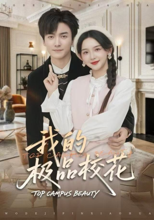 我的极品校花（80集）评价怎么样