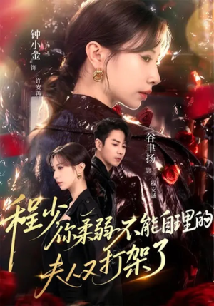 程少你柔弱不能自理的夫人又打架了（60集）精彩片段