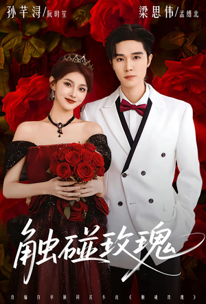 触碰玫瑰（80集）精彩短剧热播中