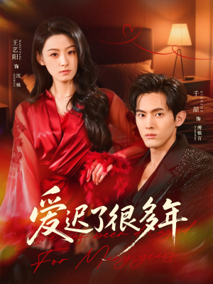 爱迟了很多年（73集）最新热门短剧