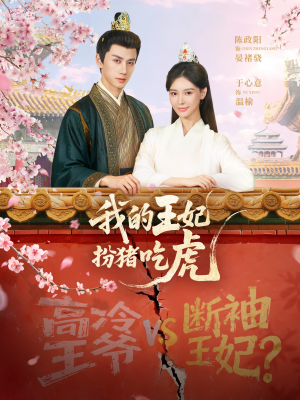 我的王妃扮猪吃虎（79集）迅雷网盘观看