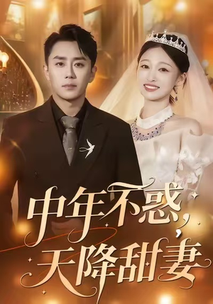 中年不惑，天降甜妻（60集）免费看短剧全集