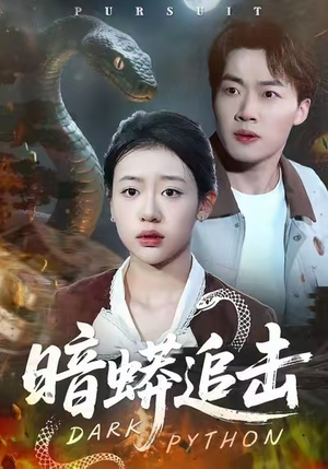 暗蟒追击（35集）口碑之选免费看
