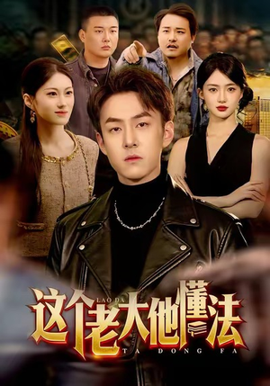 这个老大他懂法（100集）好看短剧看不停