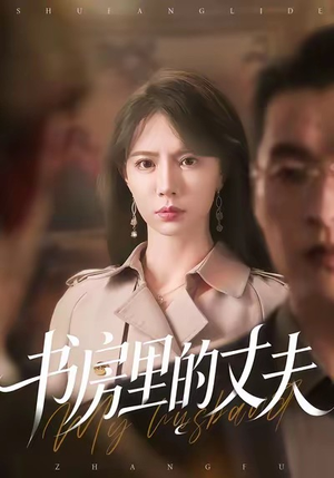 书房里的丈夫(100集) 书房里的丈夫(100集)精彩的短剧
