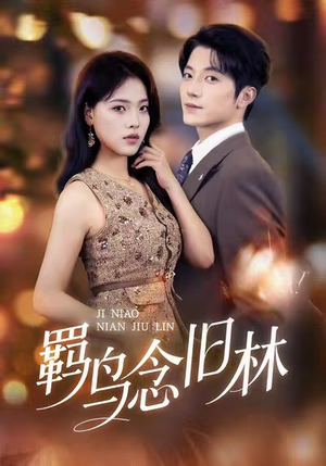 羁鸟念旧林（60集）最新短剧抢先看