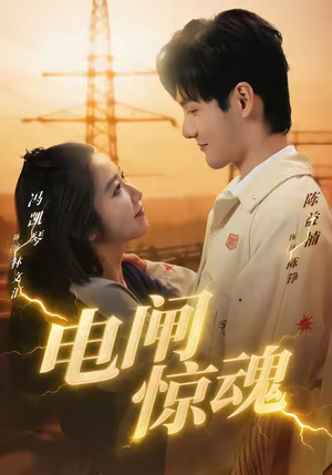 电闸惊魂（46集）演员表