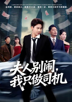 夫人别闹我只做司机（80集）好看吗