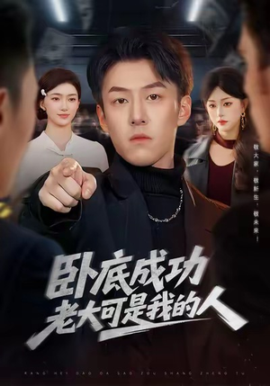 卧底成功老大可是我的人（99集）短剧全集免费