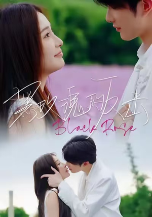 黑玫瑰的反击（47集）在线看免费版