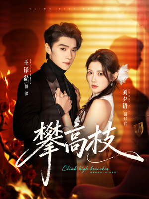 攀高枝（70集）热播短剧全集看
