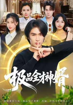 极品全才神婿（67集）好看到停不下来