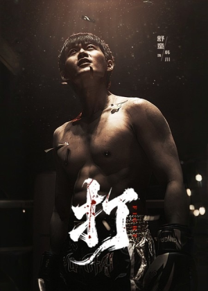 打（63集）最新短剧推荐