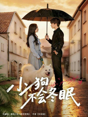 小狗不会冬眠（70集）热播短剧推荐