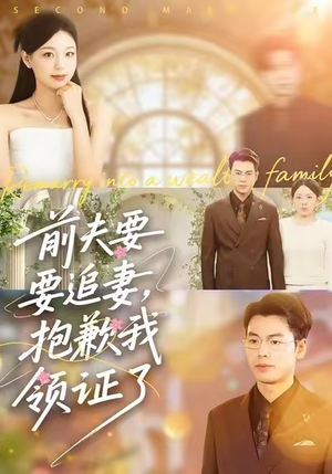 前夫要追妻，抱歉我领证了（81集）观看软件