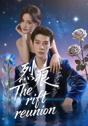 烈痕（35集）热门短剧大全