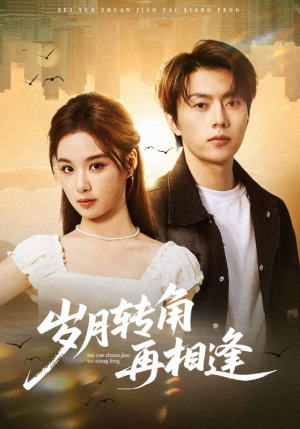 岁月转角再相逢（80集）百度网盘资源