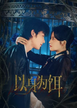 以身为饵（61集）推荐好短剧