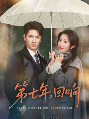 第七年回响（81集）免费观看