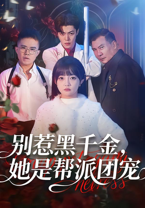 别惹黑千金，她是帮派团宠（120集）在哪看免费