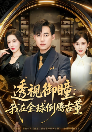 透视御瞳：我在全球倒腾古董（80集）免费短剧大全