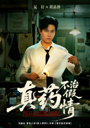 真药不治假情（60集）百度在线观看