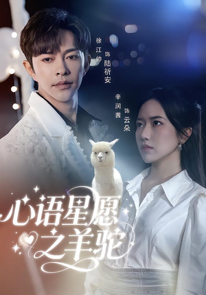 心语星愿之羊驼(60集) 心语星愿之羊驼(60集)火爆短剧推荐