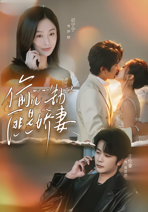 偷心劫匪是娇妻（61集）免费观看全集