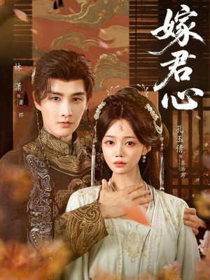 嫁君心（60集）短剧小说在线看