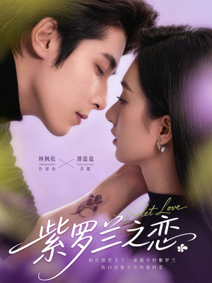 紫罗兰之恋(82集) 紫罗兰之恋(82集)短剧上热门