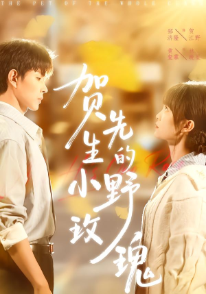 贺先生的小野玫瑰(99集) 贺先生的小野玫瑰(99集)精彩的网络短剧