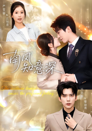 南风知意深（40集）演的怎么样