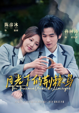 月光下的荆棘鸟（80集）免费短剧看不停