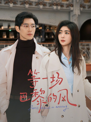 等一场巴黎的风(60集) 等一场巴黎的风(60集)完整版