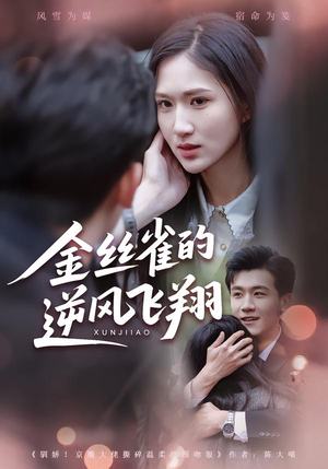 金丝雀的逆风飞翔(80集) 金丝雀的逆风飞翔(80集)免费短剧看不停