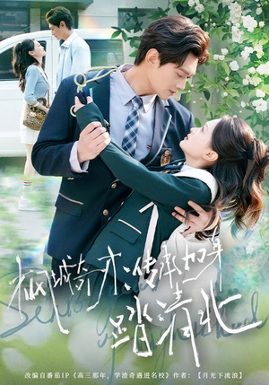 枫城奇才：传承加身踏清北（80集）短剧看全集