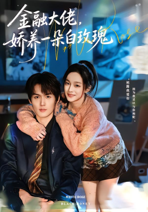 金融大佬，娇养一朵白玫瑰（70集）网盘在线观看