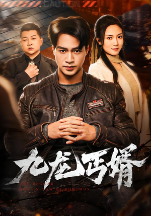 九龙丐婿(81集) 九龙丐婿(81集)直接看到大结局