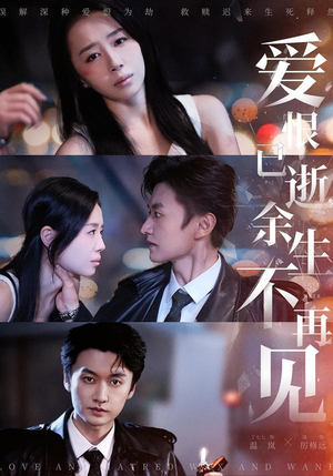 爱恨已逝,余生不再见(68集) 爱恨已逝,余生不再见(68集)在线看免费版