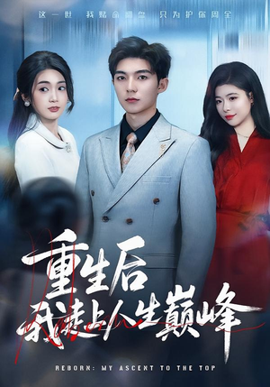 重生后我走上人生巅峰（80集）精彩的网络短剧