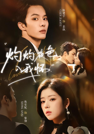 灼灼夜色入我怀（60集）热门短剧追不停