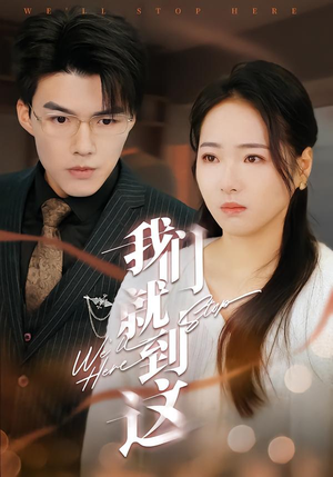 我们就到这（45集）免费观看完整版