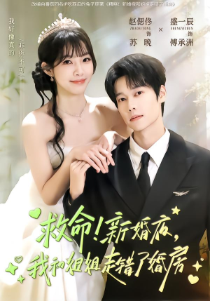 救命！新婚夜，我和姐姐走错了婚房（58集）贝贝短剧分享
